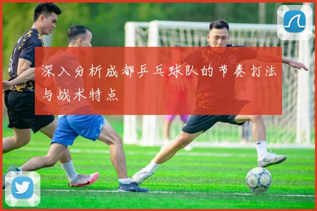 深入分析成都乒乓球队的节奏打法与战术特点