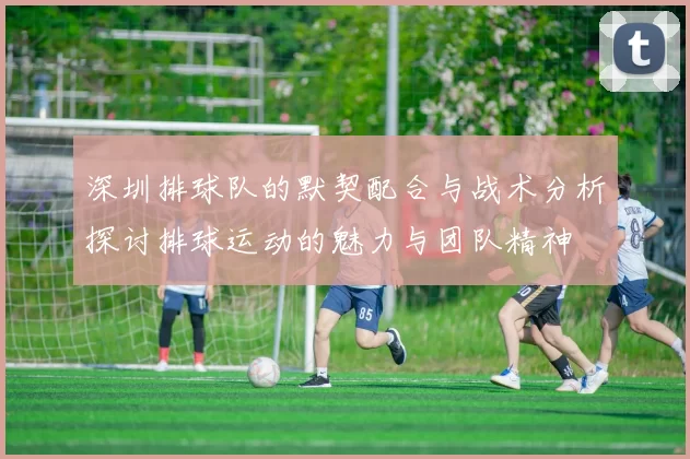 深圳排球队的默契配合与战术分析探讨排球运动的魅力与团队精神
