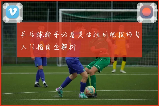 乒乓球新手必看灵活性训练技巧与入门指南全解析