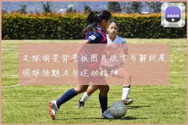 足球明星背景板图片欣赏与解析展现球场魅力与运动精神